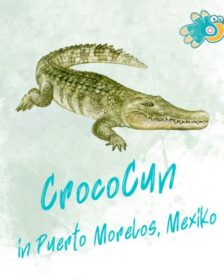 Krokodilpark in Mexiko