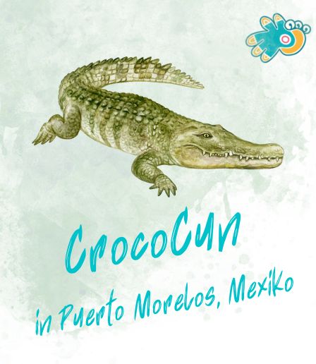 Krokodilpark in Mexiko
