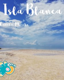 Isla Blanca Lagune